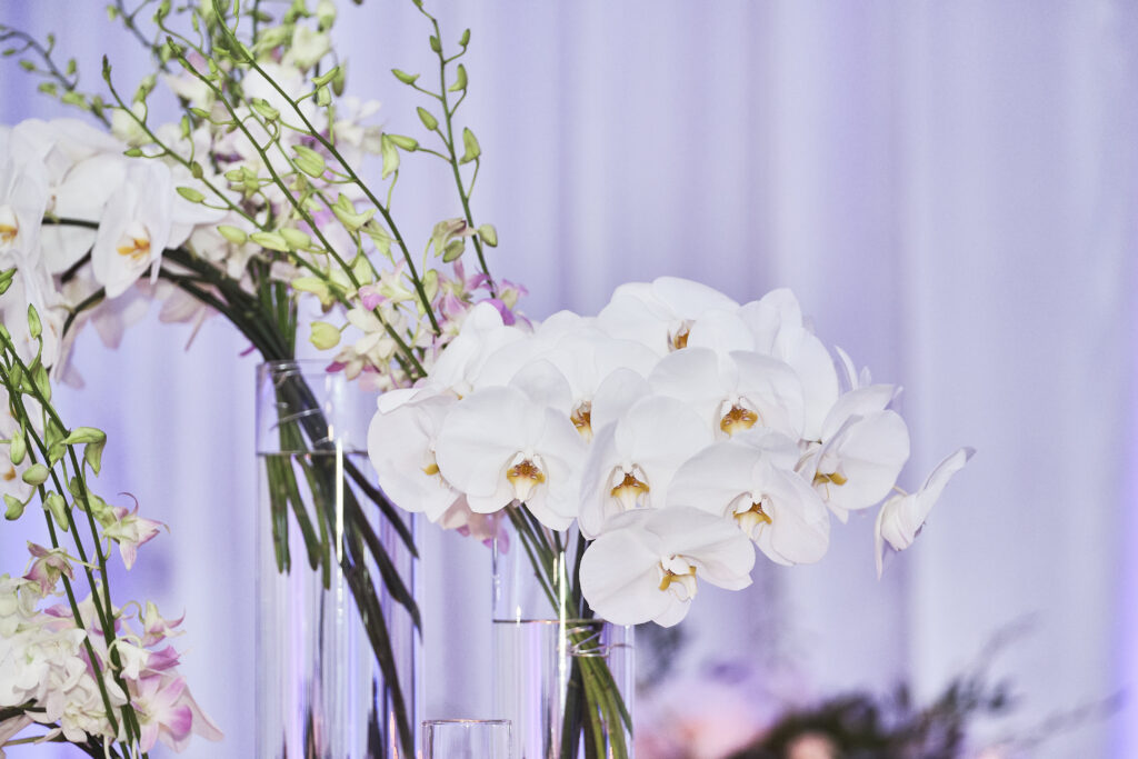 Orchid centerpieces